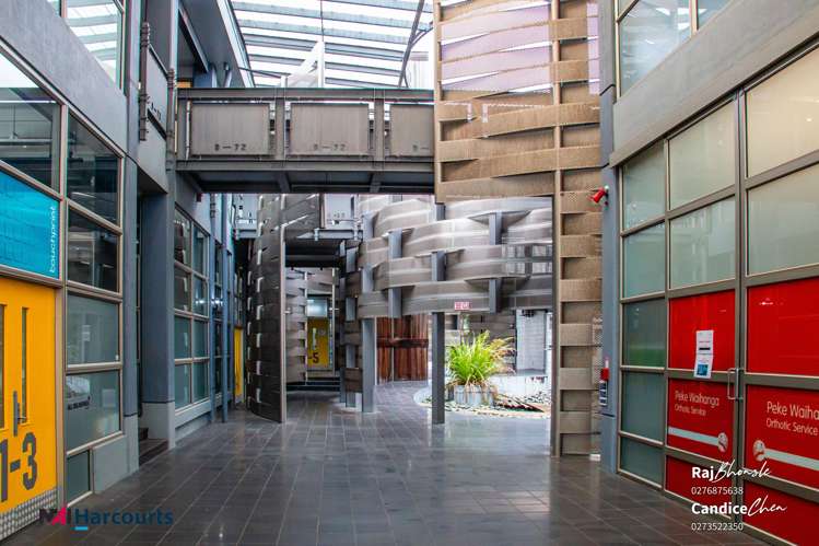 Suite 9/72 Dominion Road_0