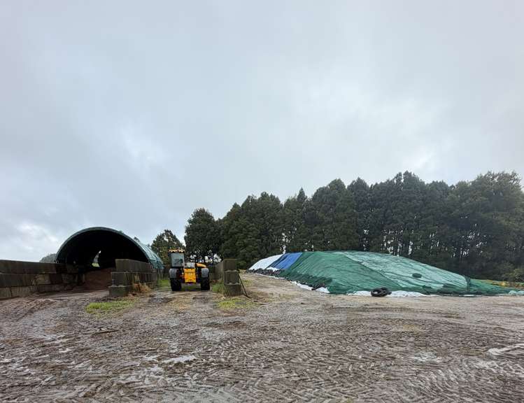 503 Puhipuhi Road Whakapara_26
