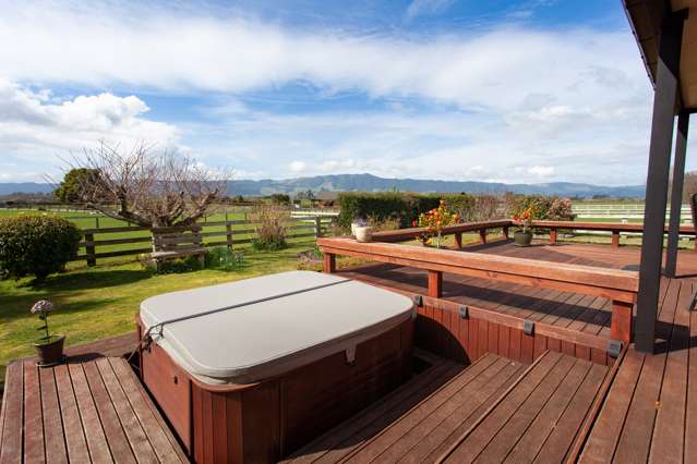 564 Taihoa South Road Matamata_2