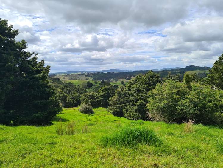 504 Wairere Road Paparoa_36