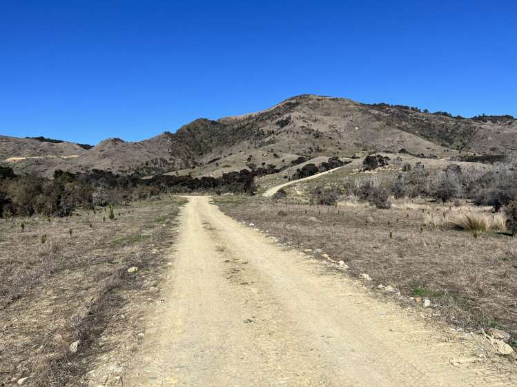 383 Lake Monowai Road Monowai_9