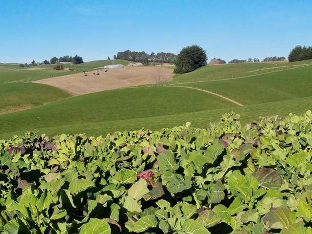 1628 Tuapeka West Road and 275 Bush Road Tuapeka West_1