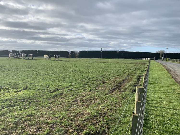 19 Puketutu Road Matamata_23