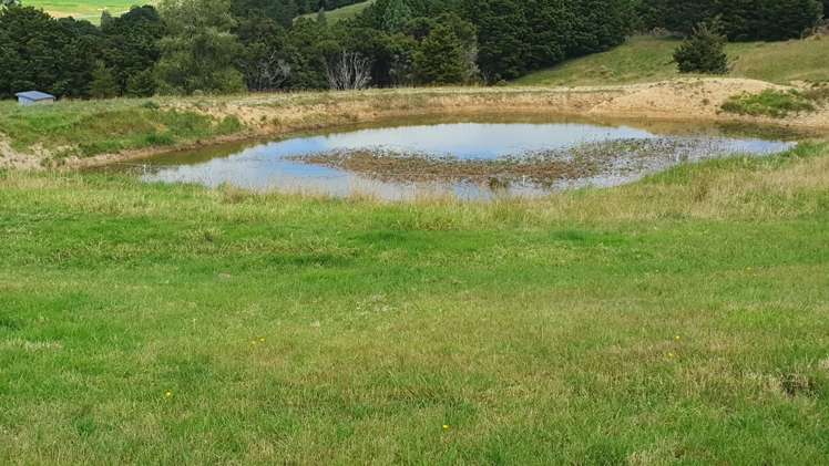 1241 Ararua Road Ararua_21