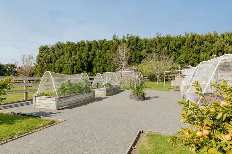 563 Belk Road Kaimai_13