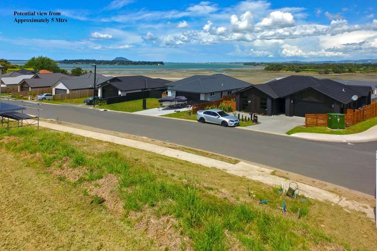 54 Bert Wall Drive Omokoroa_6