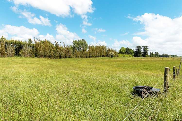 269 Fitzgerald Road Drury_16