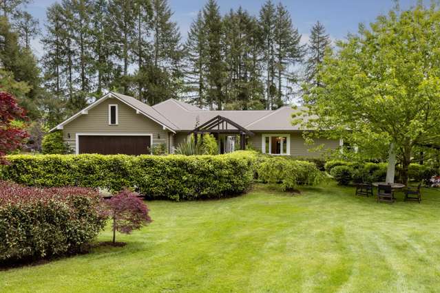 365 Whangamata Road Kinloch_2