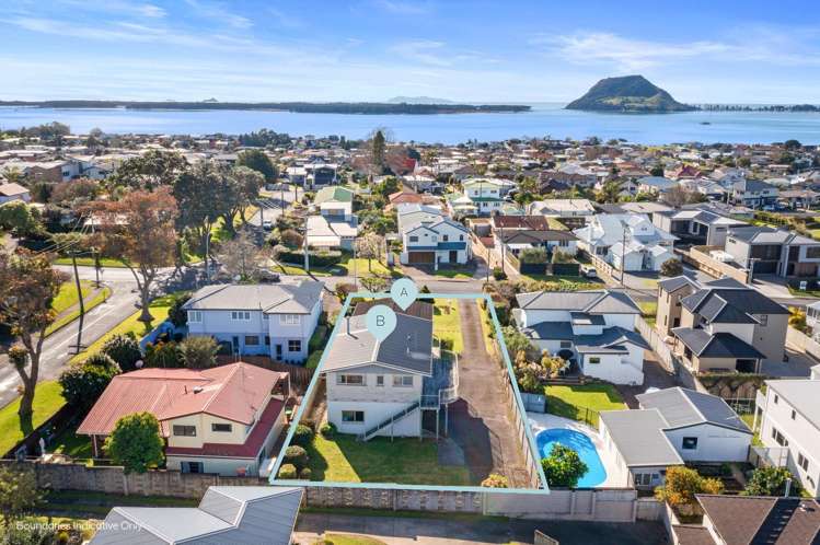 45A and 45B Hinewa Street_0