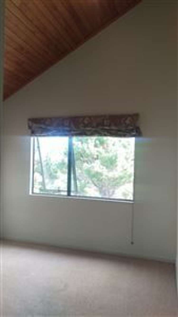 126 Kennedy Road Dairy Flat_12