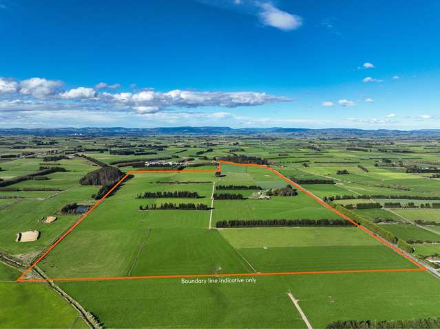 Versatile Block with Waikiwi & Woodlands Soils