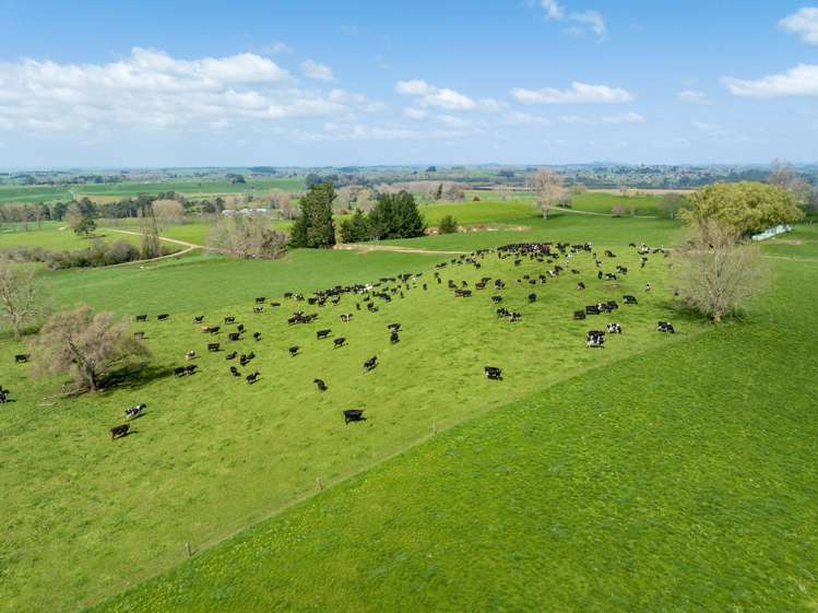 777 Oreipunga Road Cambridge_3