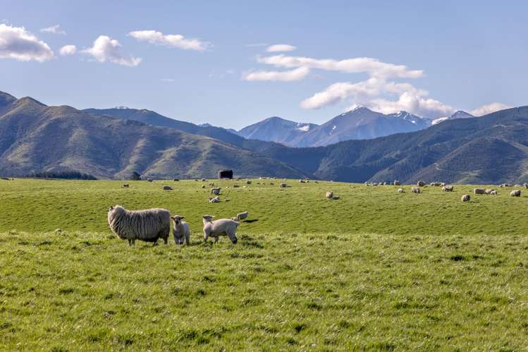 10 Riversleigh Road Glentunnel_18