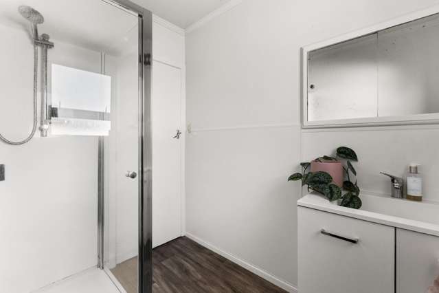 3/409a Willowpark Road Akina_4