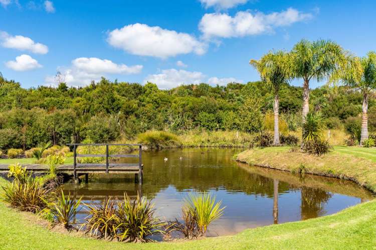 23 Birdsong Lane Mangawhai_7