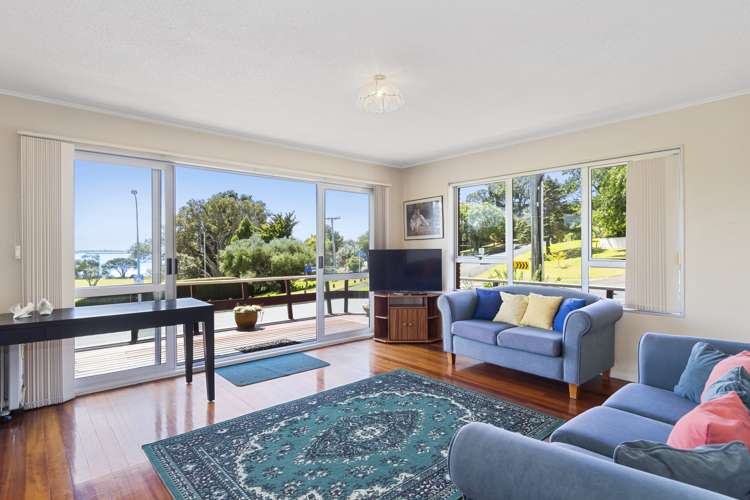 22 Eleventh Avenue Tauranga Central_5