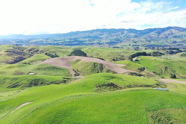 810 Spur Road Ashhurst_1