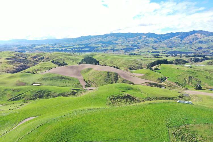 810 Spur Road Ashhurst_1