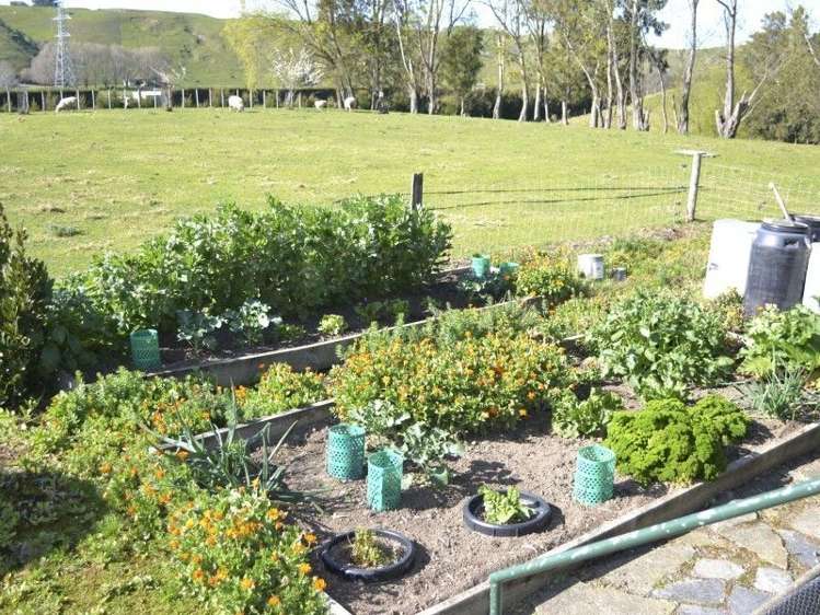 944 Puketapu Road Puketapu_15