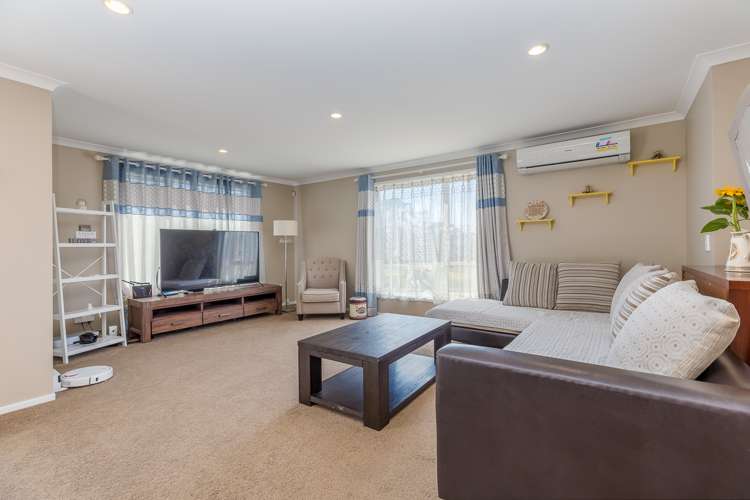 14 Jadewynn Drive Massey_2