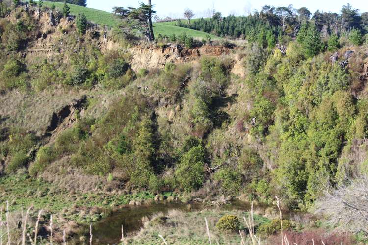 109 Vaughan Road Takapau_13