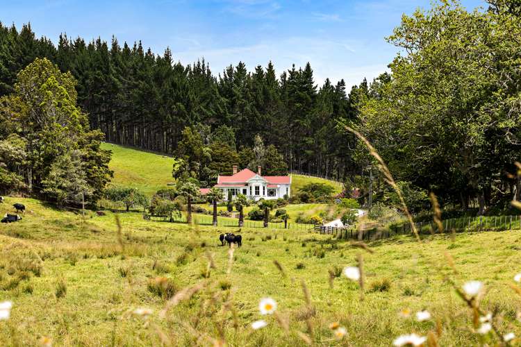 121 Krippner Road Puhoi_5