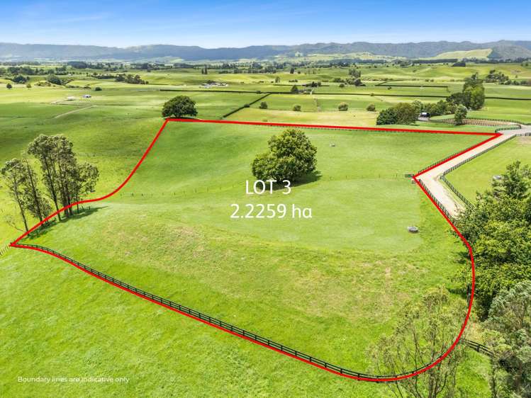 Lot Lot 2, 3 & 5 Harwoods Road Tirau_9