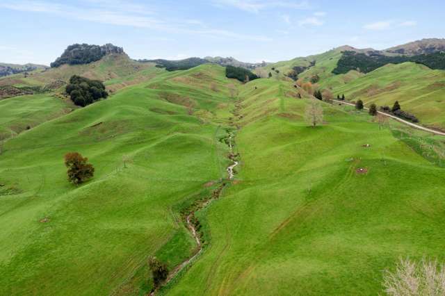 Productivity, Scale & Sustainability