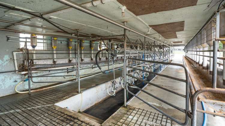 249 Plaskett Road Fernside_8