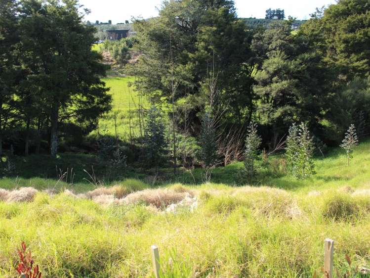 55 Brook Lane Mangawhai_5