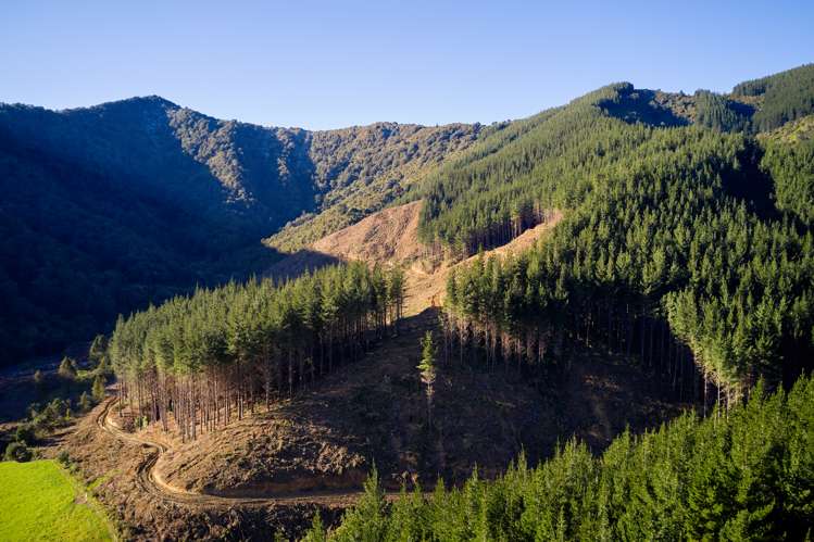 Crail Bay Kenepuru Sound_16