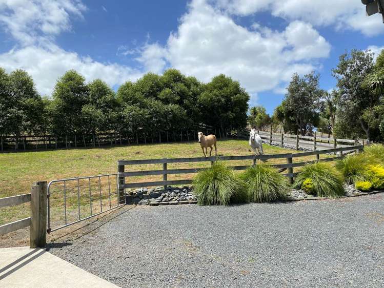 208 Glenmore Road Coatesville_30