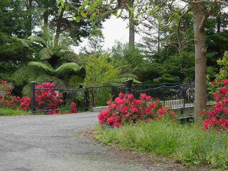 207 Scotsman Valley Road Tauwhare_14