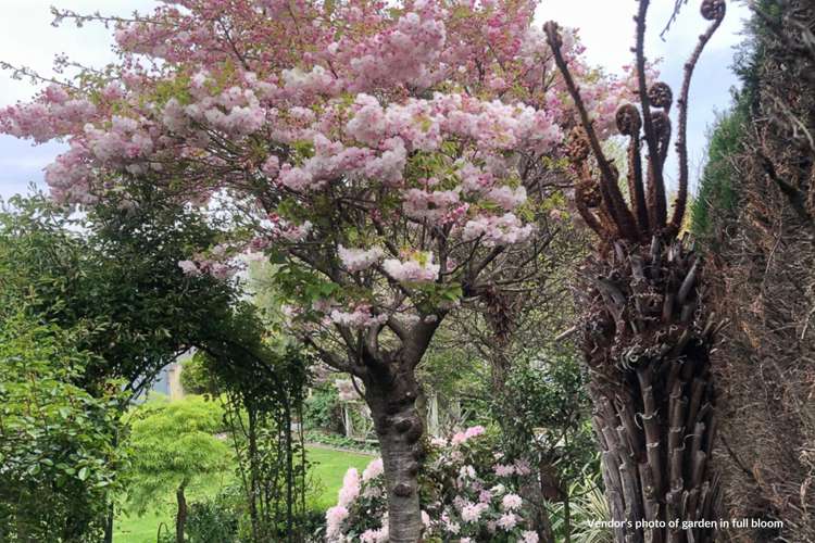 63 Inkerman Street Renwick_52