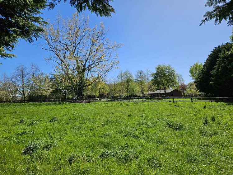 80 Avenue North Road Levin_29