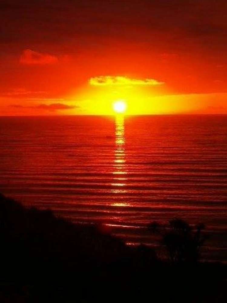 1313 State Highway 6 Nine Mile_31