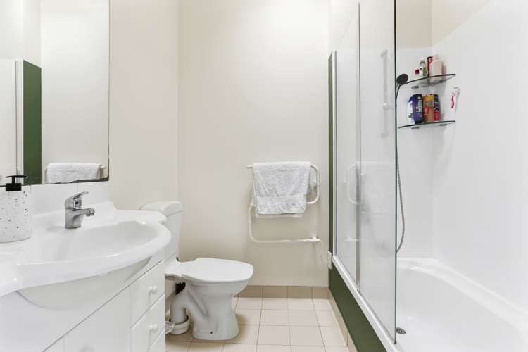 17i Domain Road Panmure_8