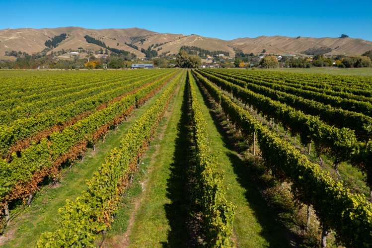 Alabama Road Riverlands_26