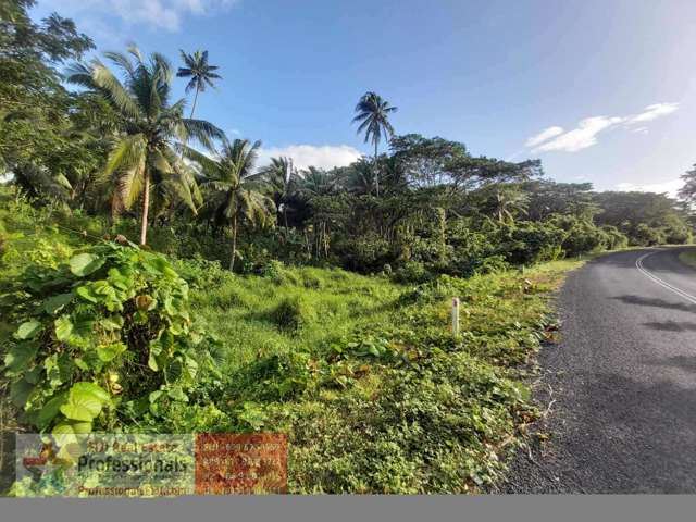 Address withheld Savusavu_3
