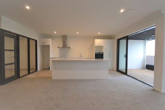 202/2-4 Onepu Road Kilbirnie_3