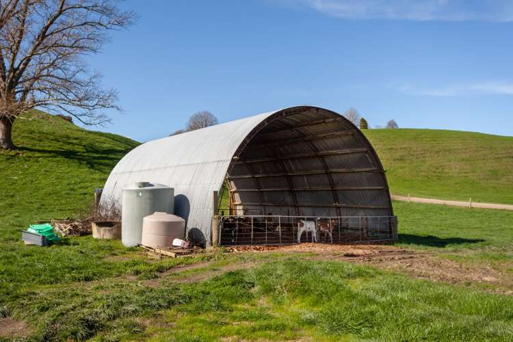 820 Lake Arapuni Road Arapuni_20