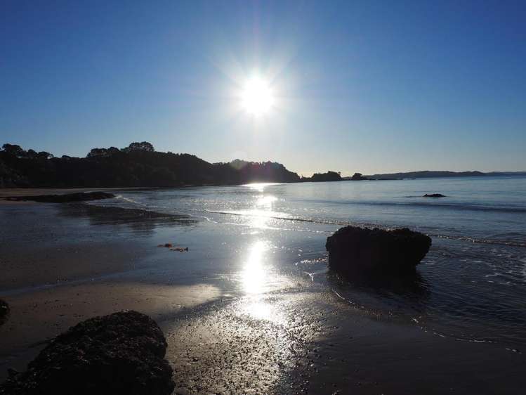 203 Howard Road Orere Point_17