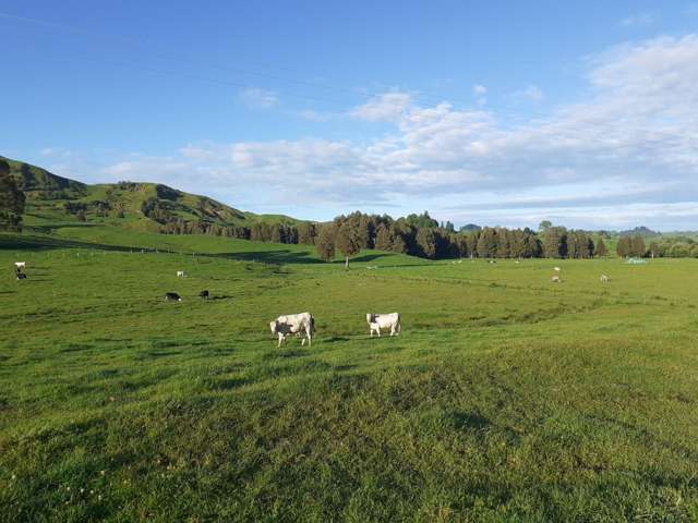 25 Pukenui Road Te Kuiti_2