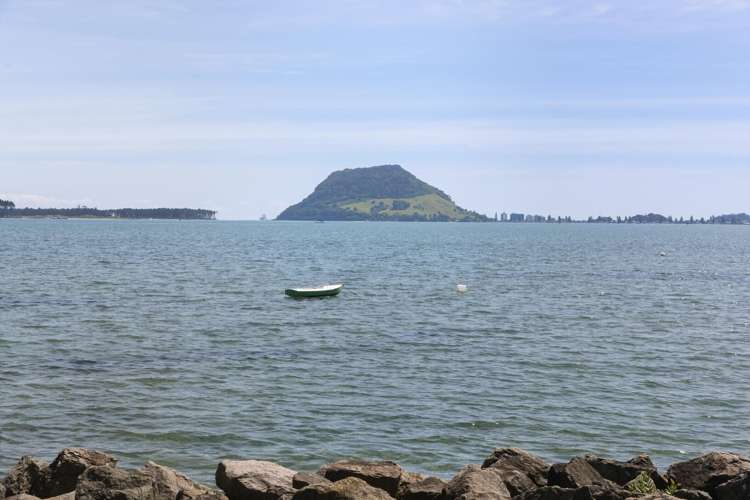 13B Beach Road Otumoetai_12