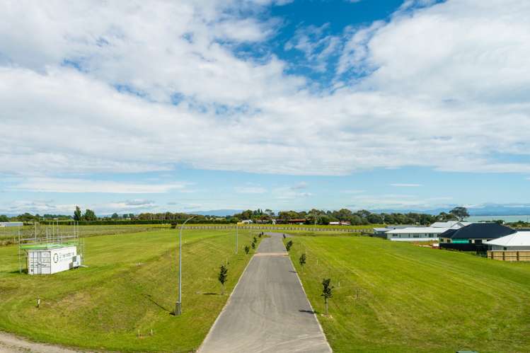 Te Awanga Terraces Te Awanga_7