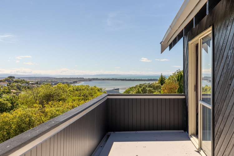 106 Soleares Avenue Mount Pleasant_20