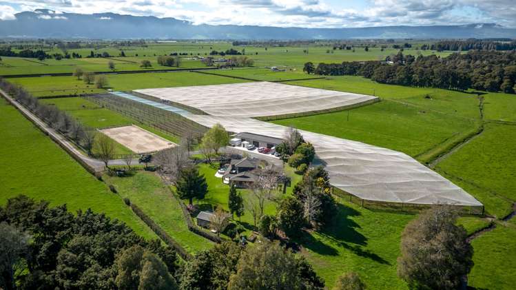 5932 State Highway 27 Ngarua_8