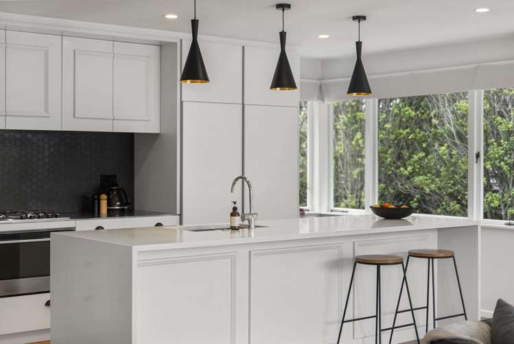 73 Mead Street Avondale_5