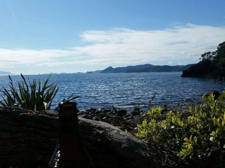 411 Schooner Bay Road Great Barrier Island (Aotea Island)_7