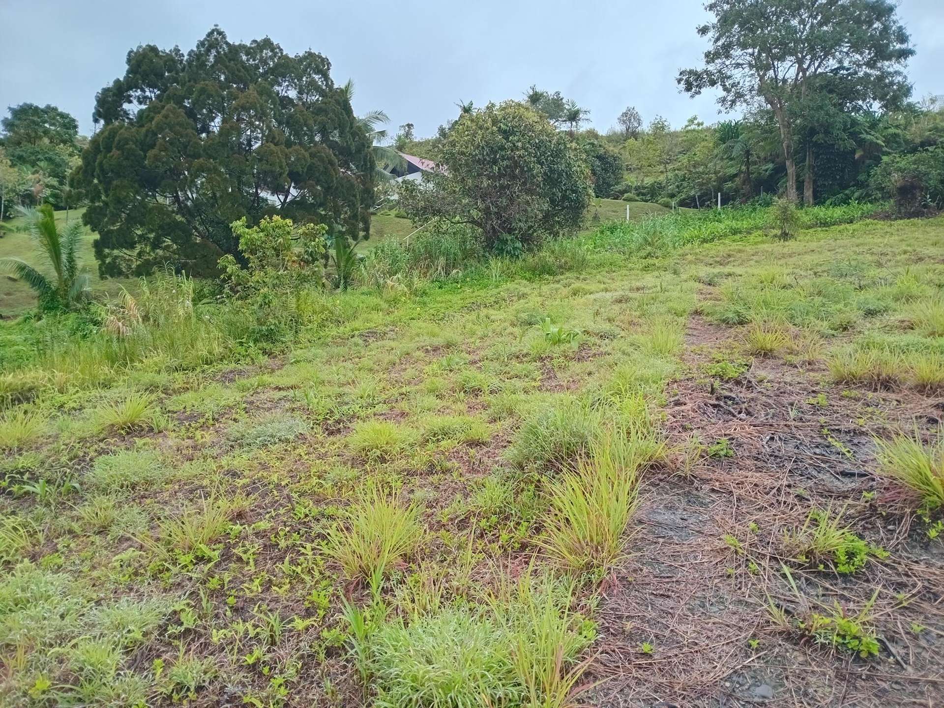 Lot 6 Panaromic Drive, Wailekutu, Lami_0